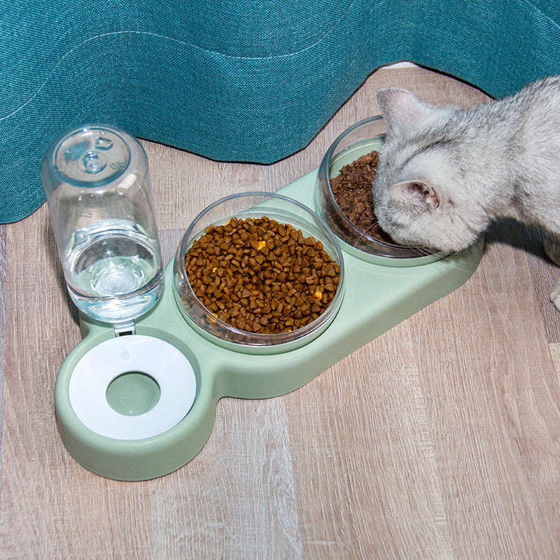 Automatic Pet Feeder with Water Fountain