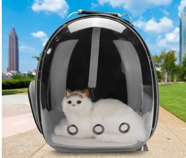 Full Transparent Cat Carrier