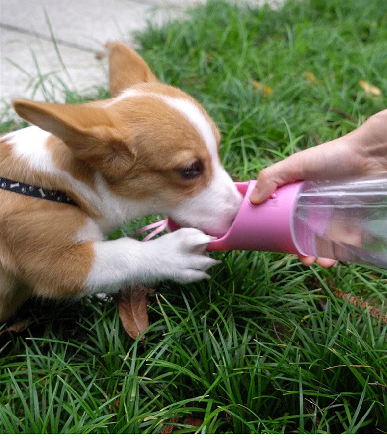Leak-Proof Portable Dog Water & Food Bottle