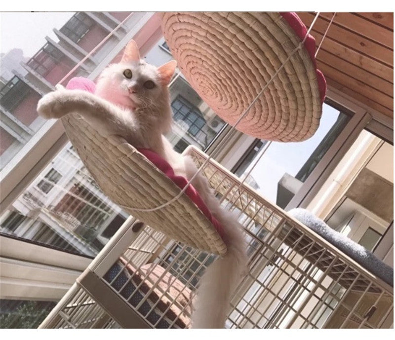 Cat Climbing Tree & Scratching Platform