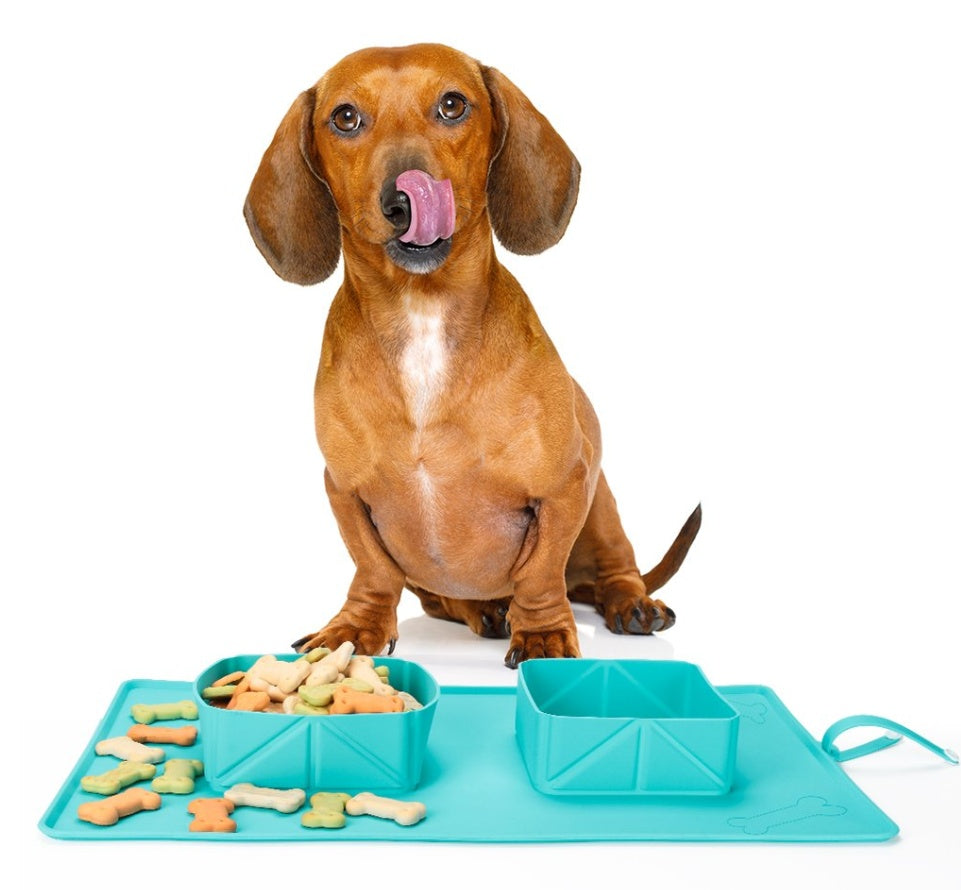 Silicone Dog Bowls