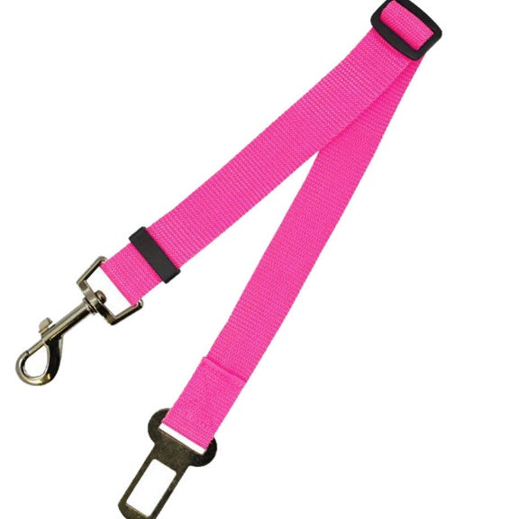 Fixed Polyester Dog Leash