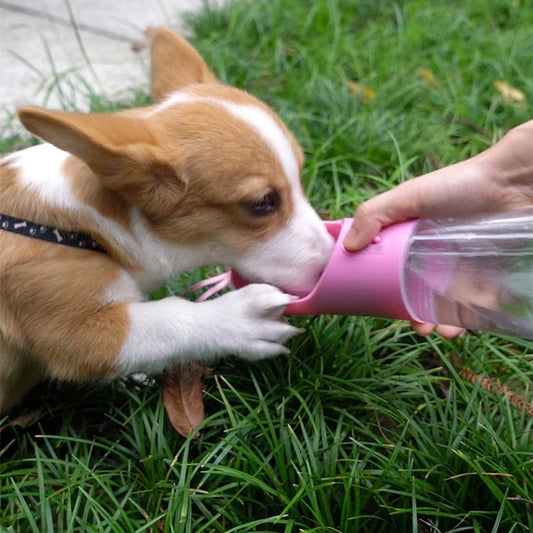 Leak-Proof Portable Dog Water & Food Bottle