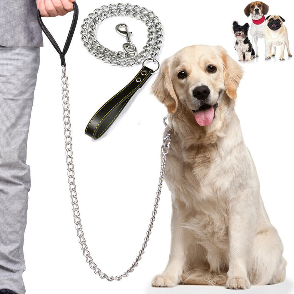 Metal Chain Dog Lead