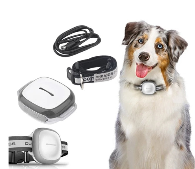 Collared Cat Dog Tracker