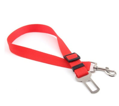 Fixed Polyester Dog Leash