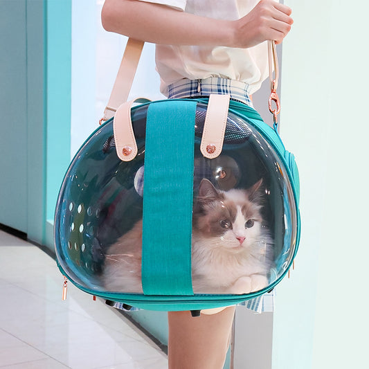 Double Fish Transparent Pet Backpack
