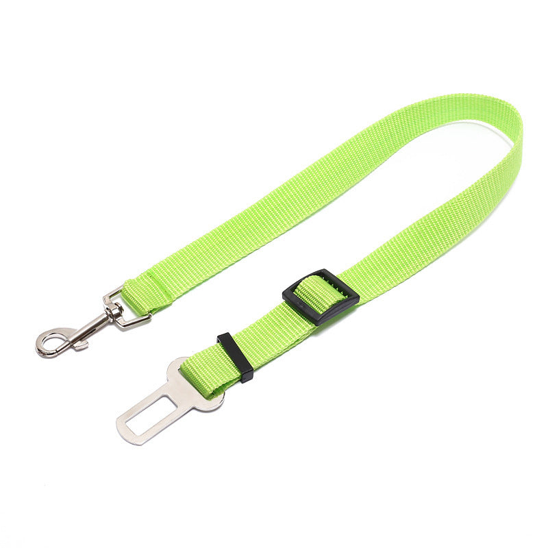 Fixed Polyester Dog Leash