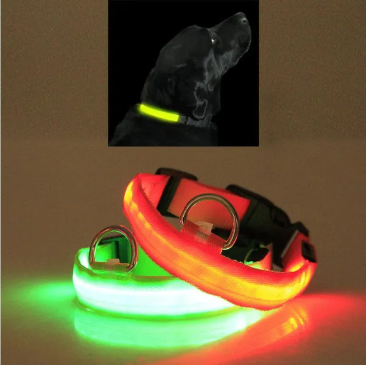 LED Safety Halo Style Collar
