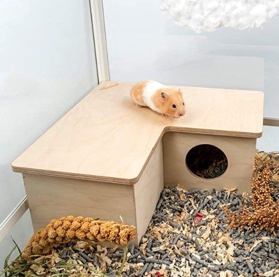 Multi-Room Hamster Cage