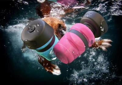 Foldable Outdoor Dog Water Bottle