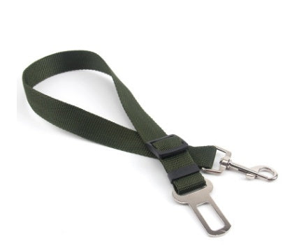 Fixed Polyester Dog Leash