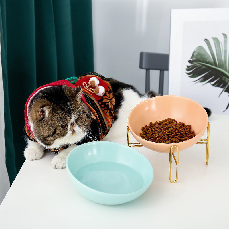 Pet Bowl