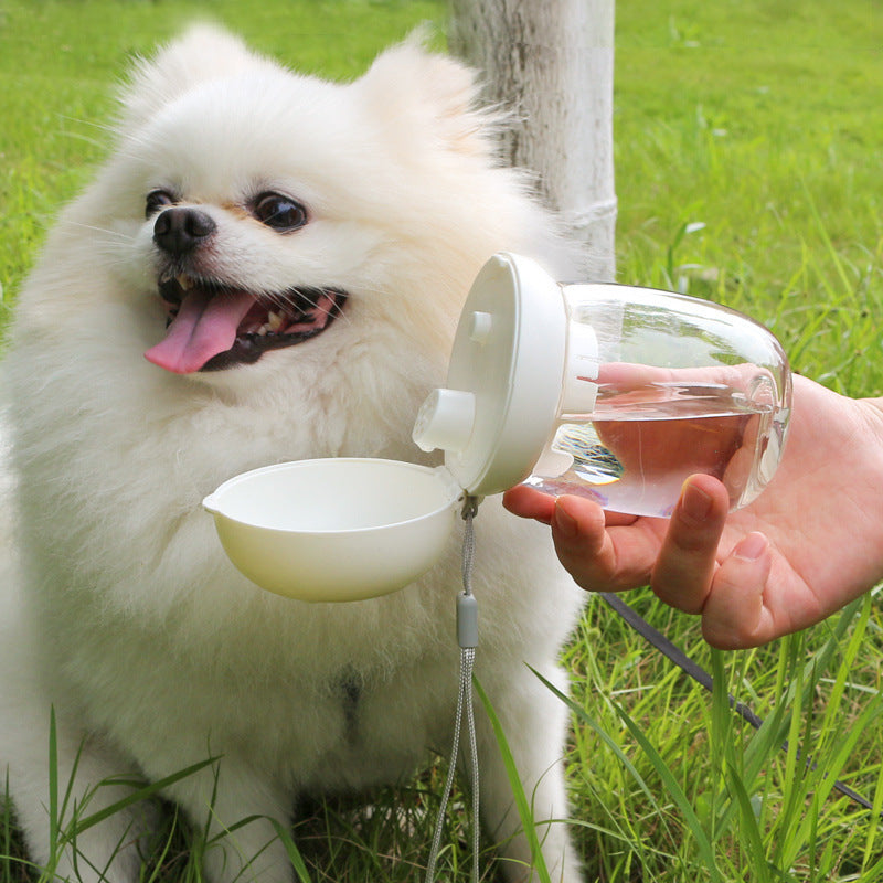 Foldable Portable Pet Drinking Bottle