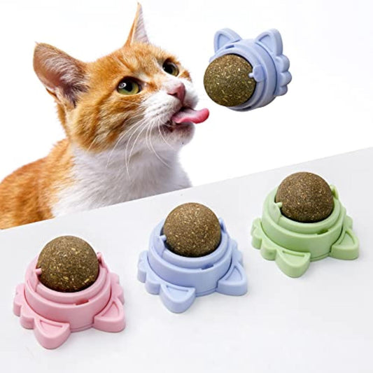 Catnip Wall Balls – Dental Chew Toys