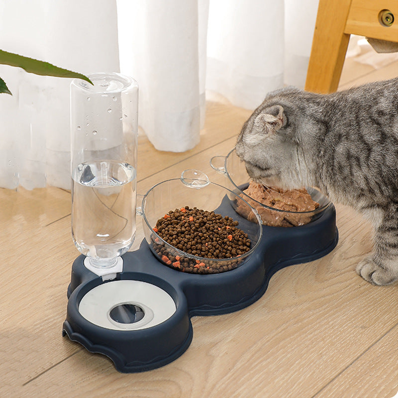 Food Bowls With Water Bowl