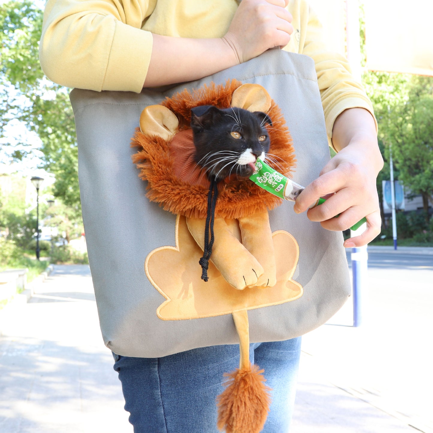 Lion Design Soft Pet Carrier