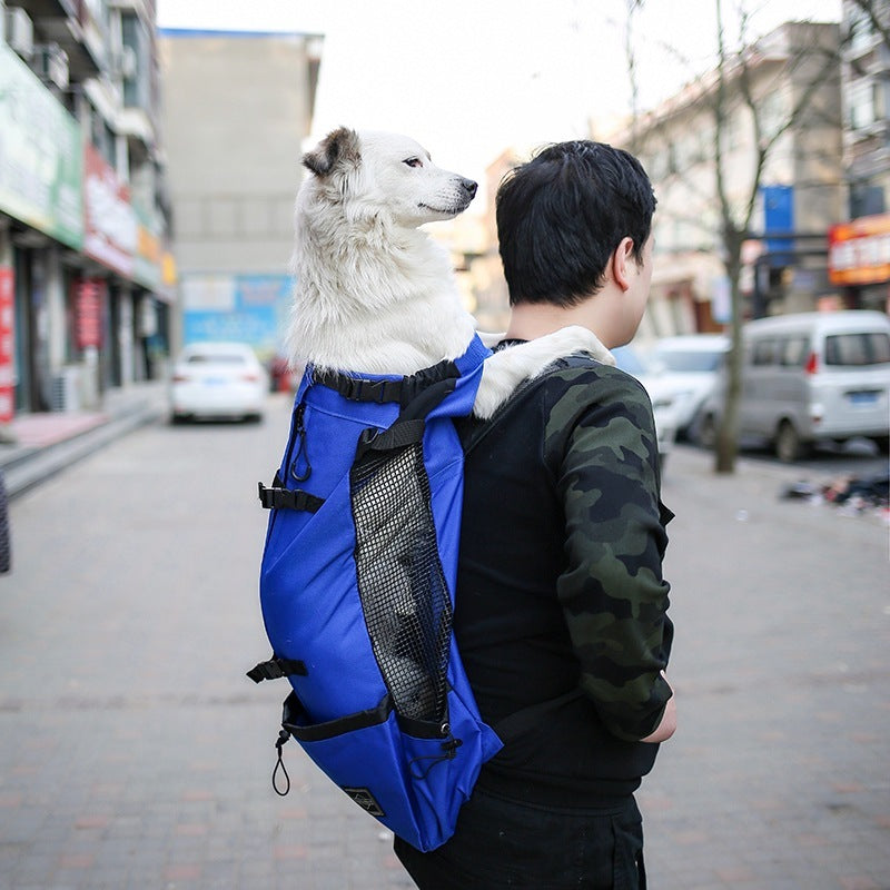 Double-Shoulder Portable Dog Carrier Backpack