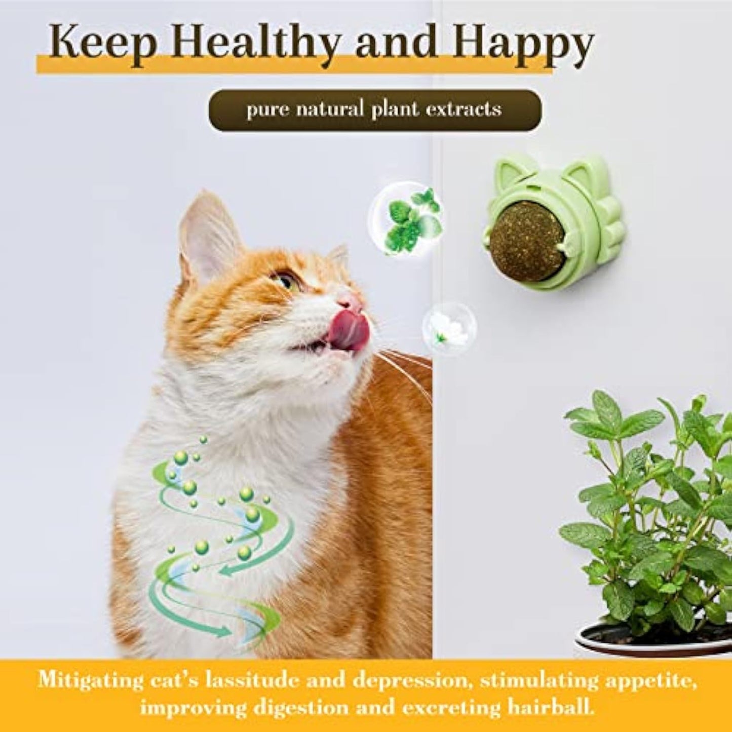 Catnip Wall Balls – Dental Chew Toys