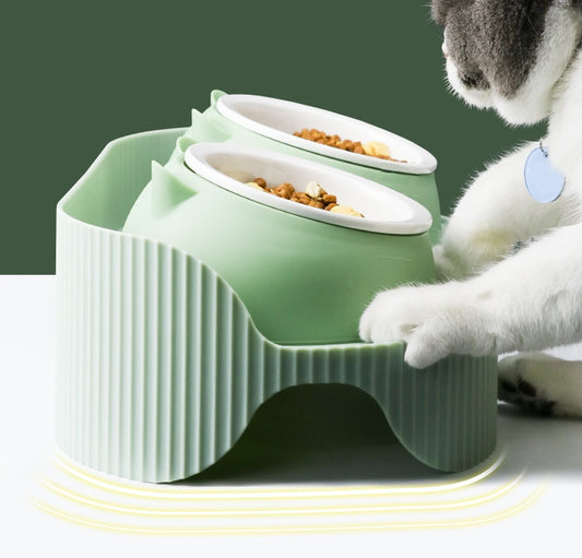 Ceramic Cat Food Bowl