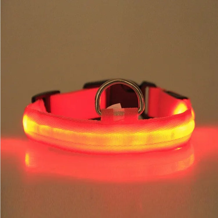LED Safety Halo Style Collar