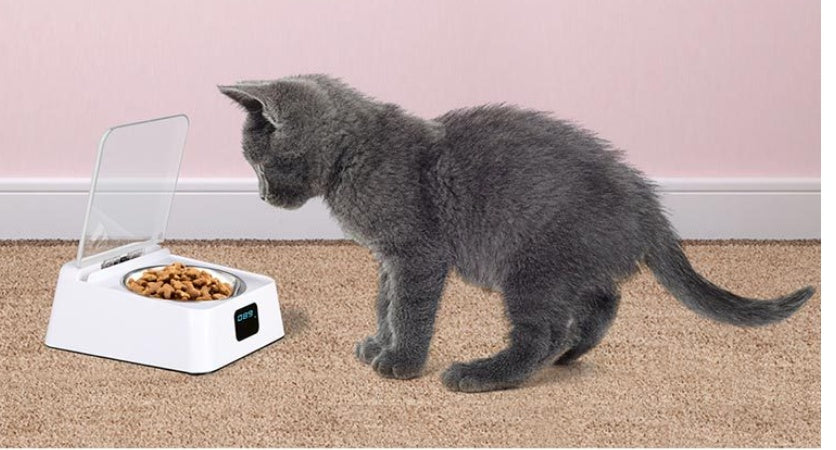 Automatic Pet Feeder Bowl