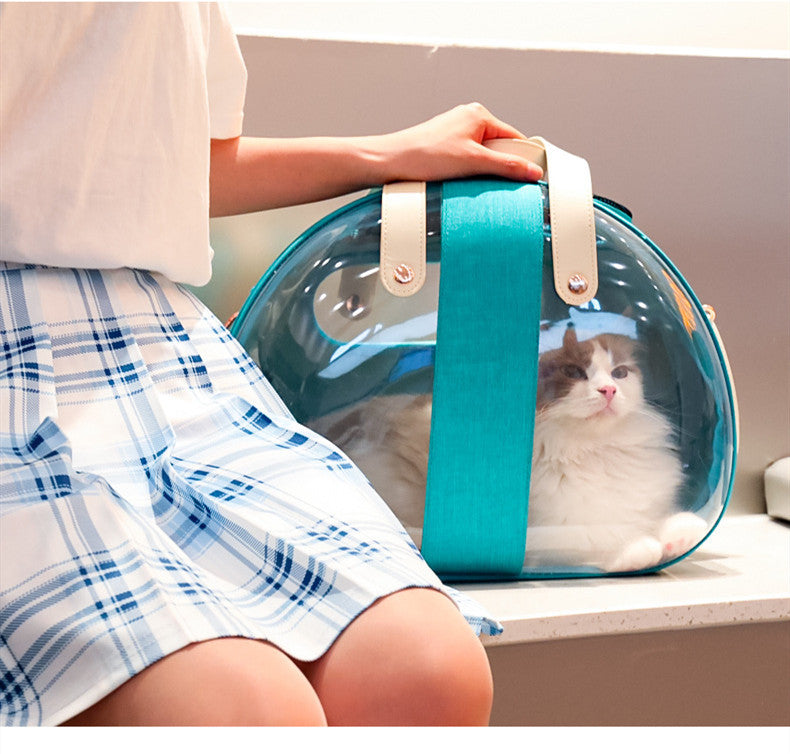 Double Fish Transparent Pet Backpack