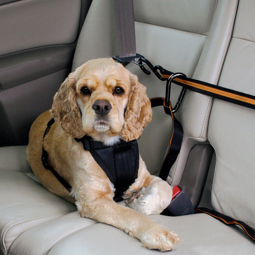 Dual-Purpose Pet Safety Belt & Car Lanyard