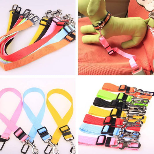 Fixed Polyester Dog Leash