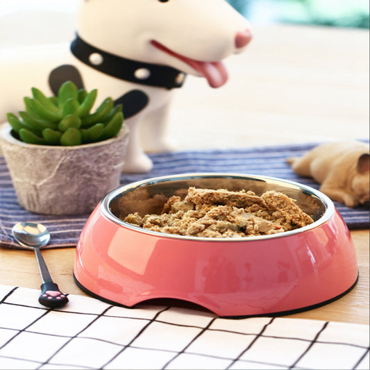 Large Stainless Steel Pet Food Bowls