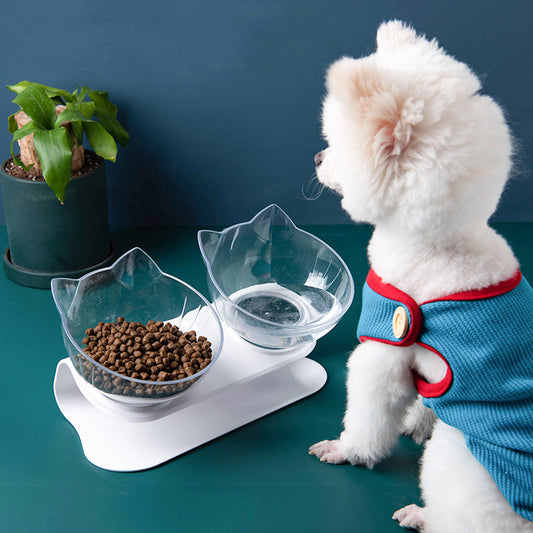 Inclined Transparent Cat Ear Pet Food Bowl