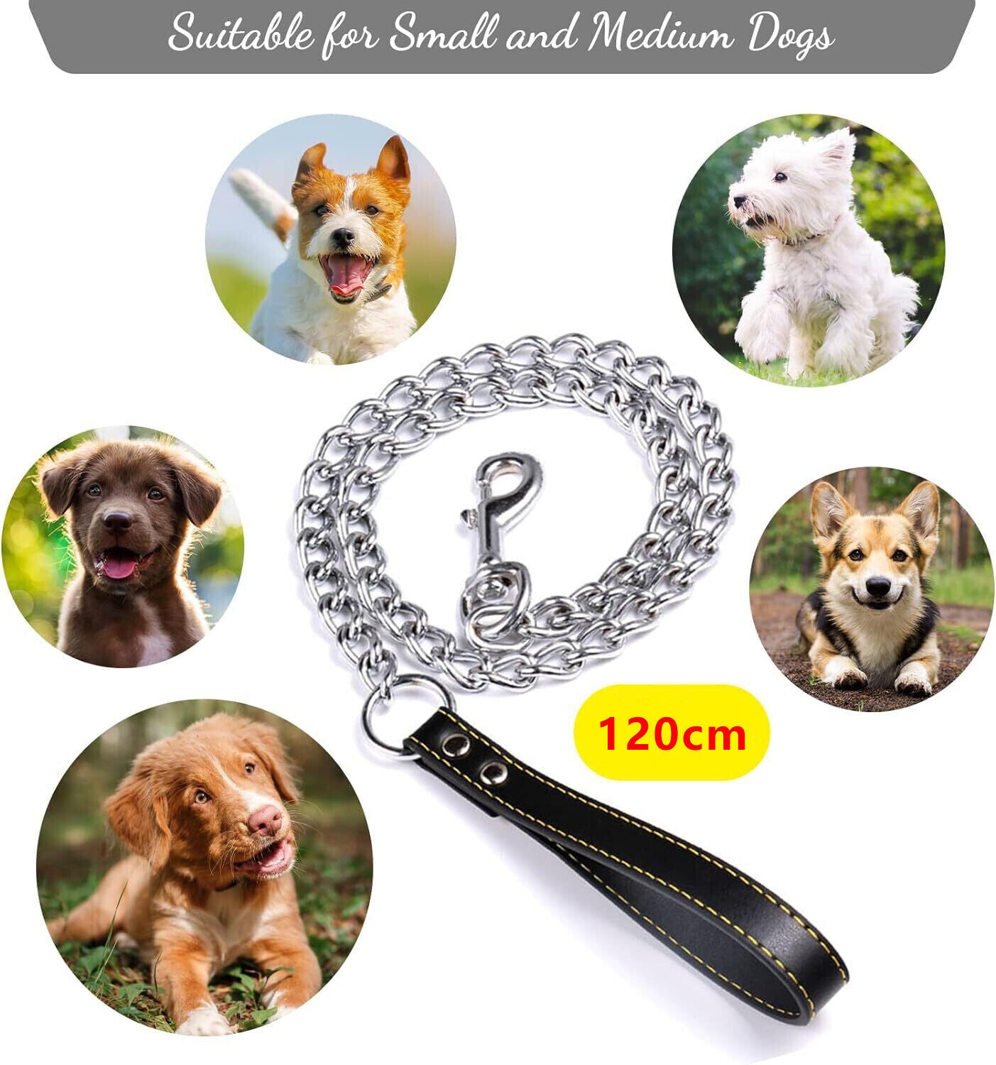 Metal Chain Dog Lead