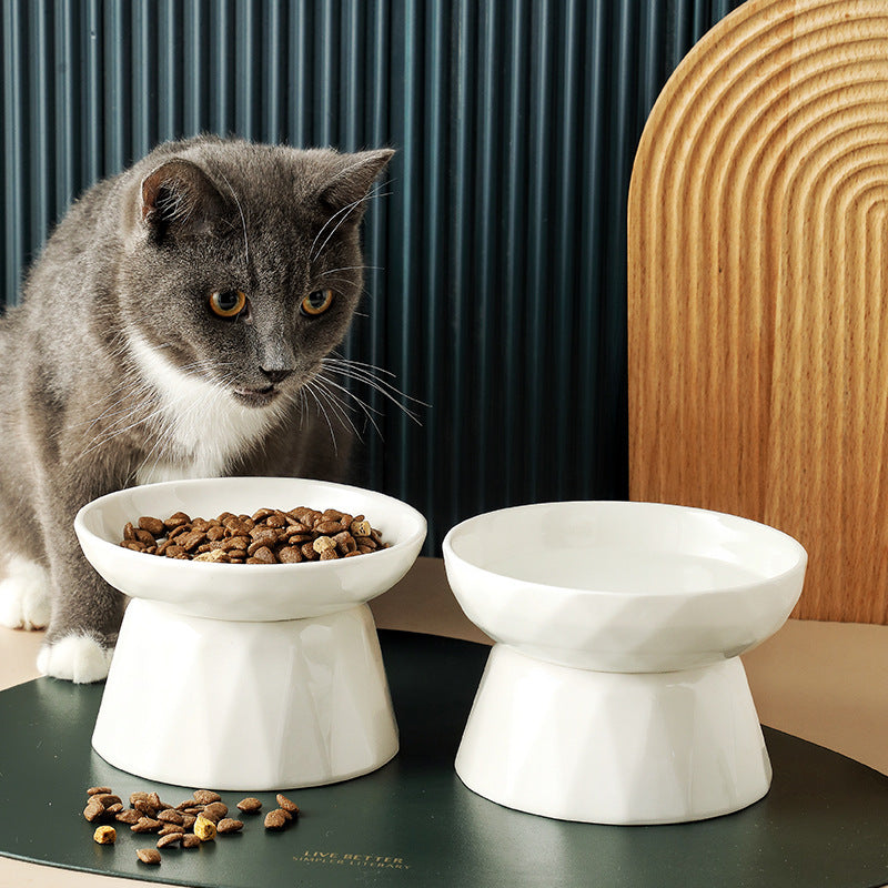 Spine-Protecting Cat Bowl