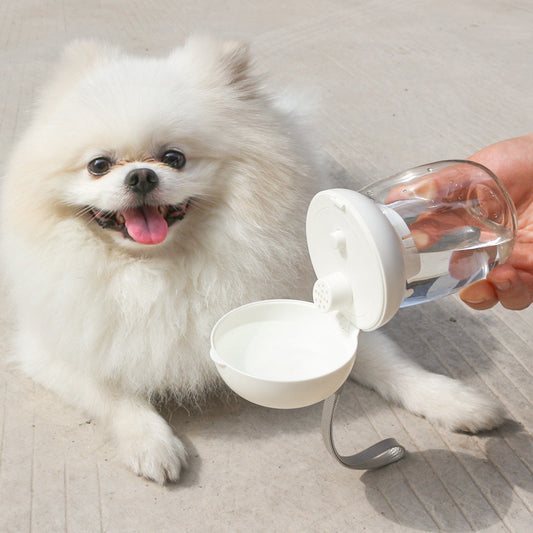 Foldable Portable Pet Drinking Bottle