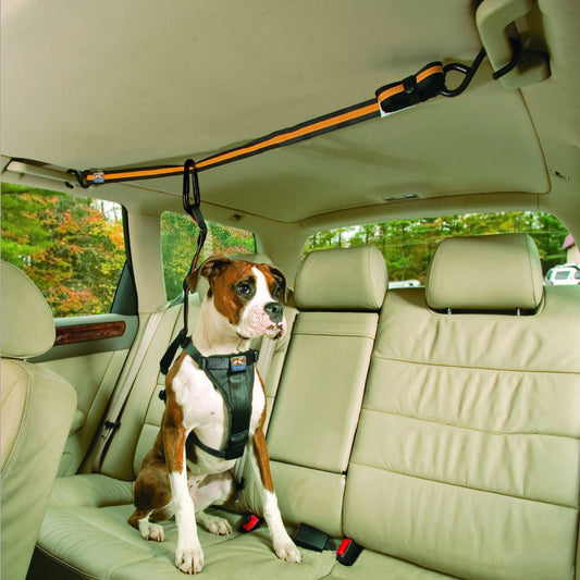 Dual-Purpose Pet Safety Belt & Car Lanyard
