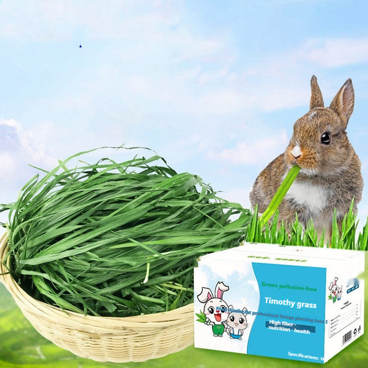 Rabbit & Guinea Pig Feed Snacks