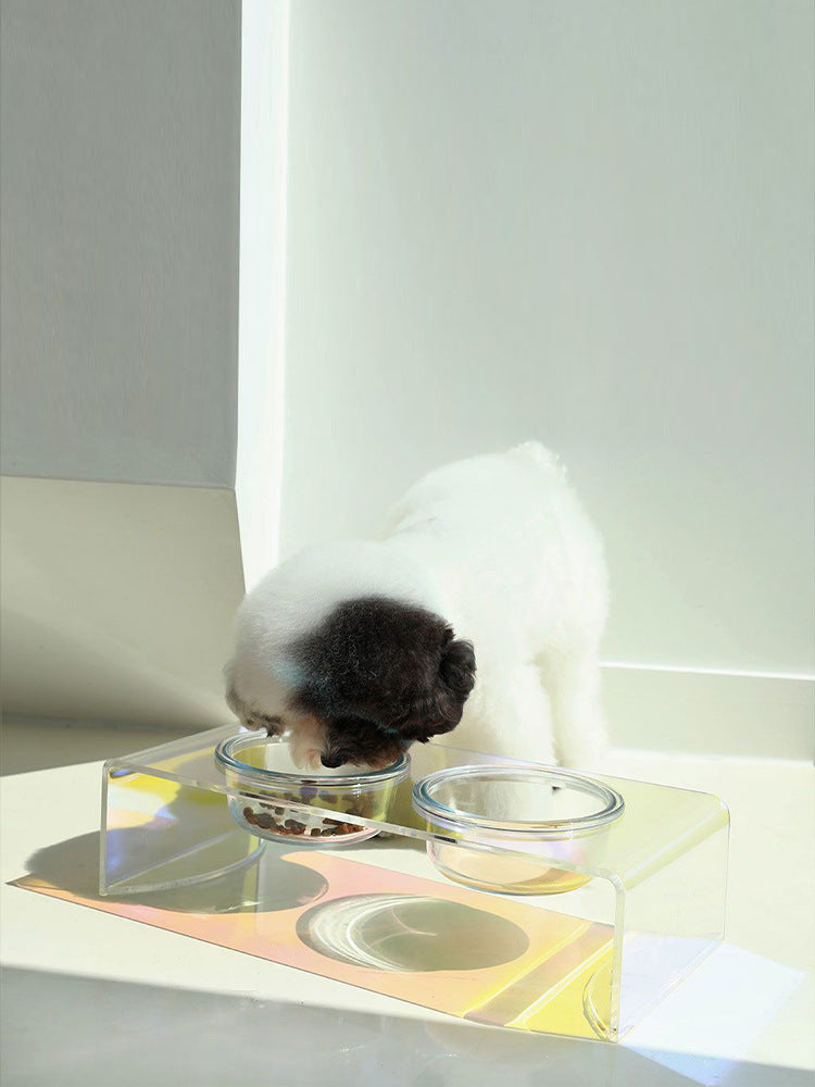 Acrylic Dazzling Pet Bowl