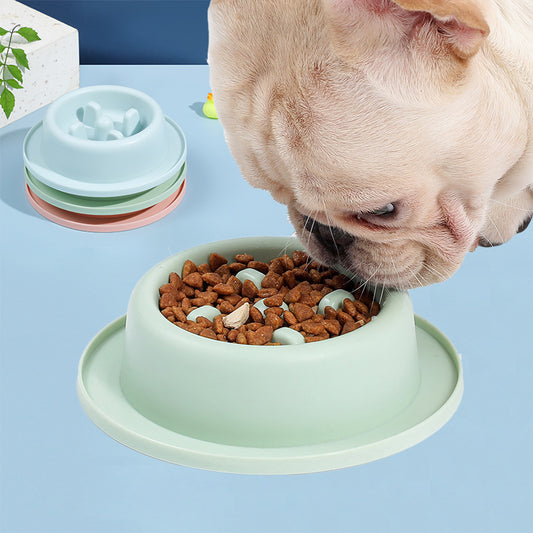 Anti-Choking Slow Pet Food Bowl