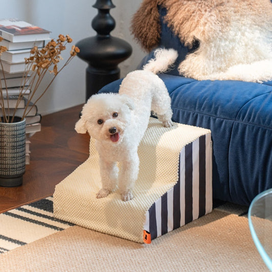 Dog Stairs & Bed Ramp